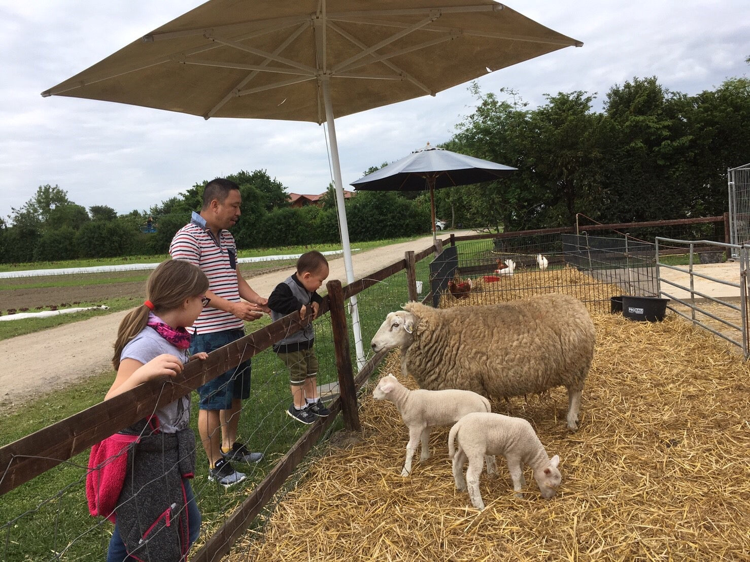 ドイツは日曜日は休息日🇩🇪