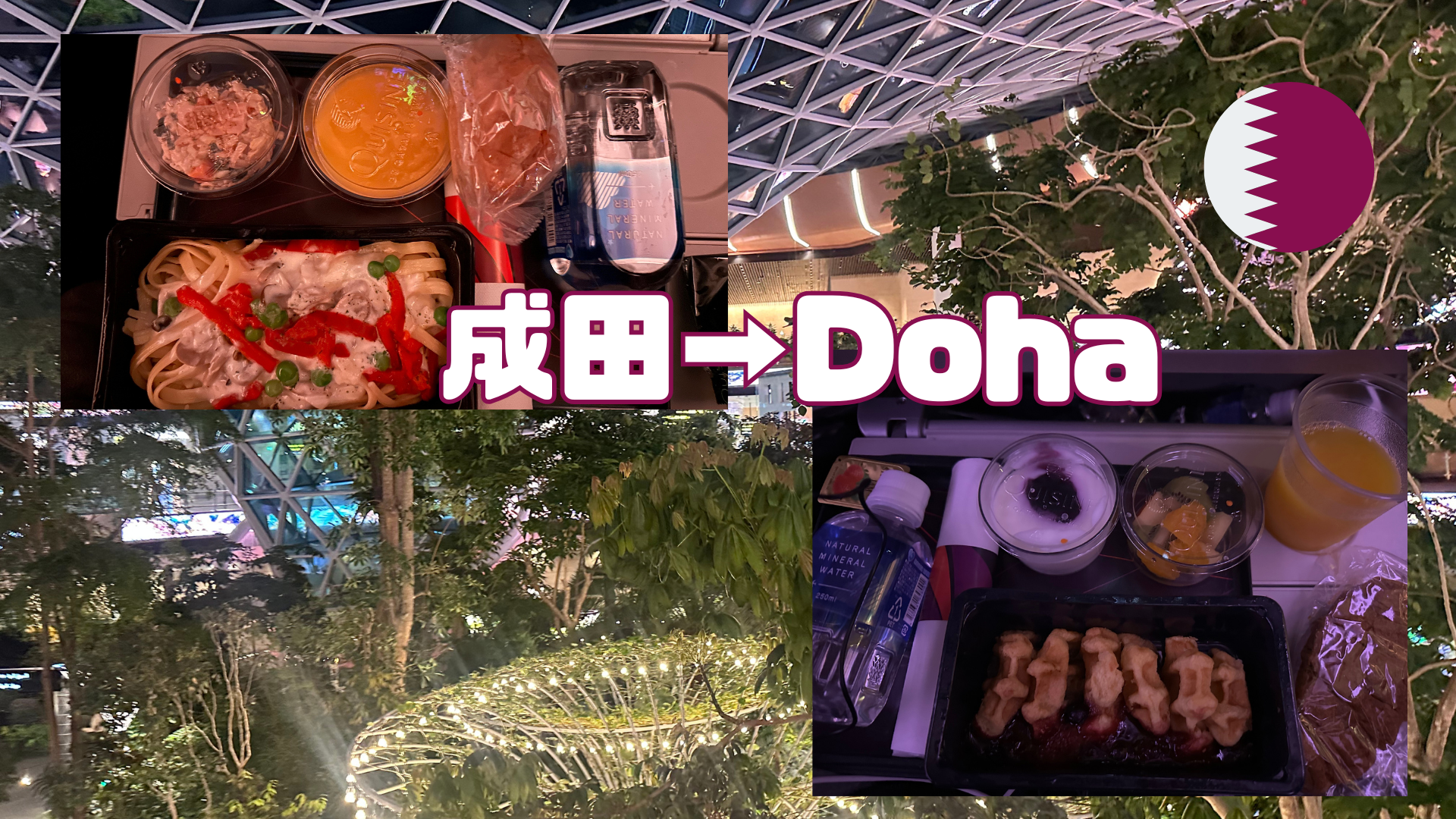 成田ドーハ機内食 カタール航空 ドイツ遠征 Piece