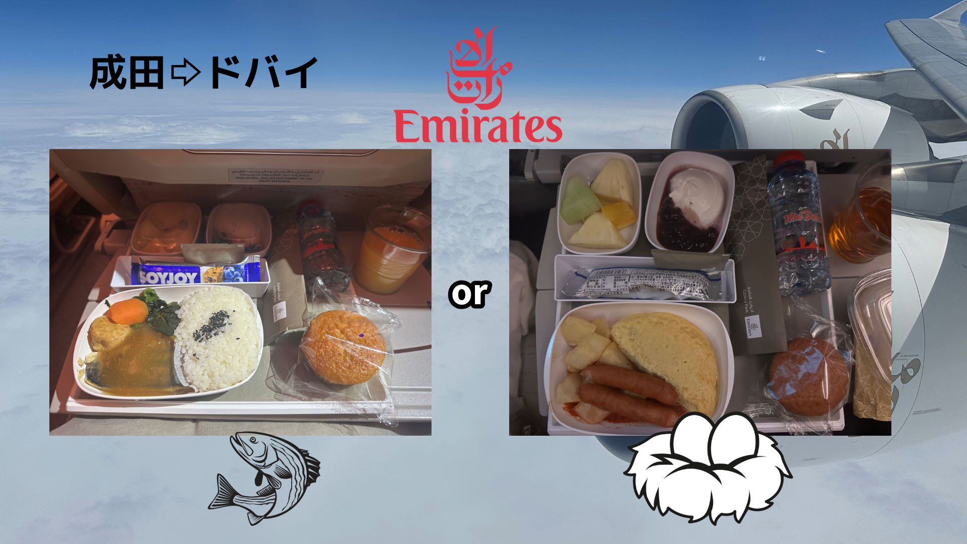 成田ドバイ機内食 12時間フライト Piece海外遠征