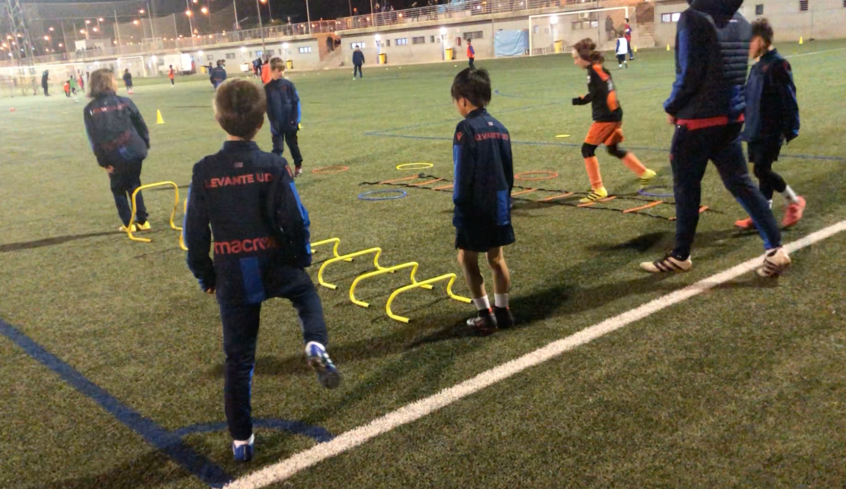 スペイン🇪🇸アジリティ