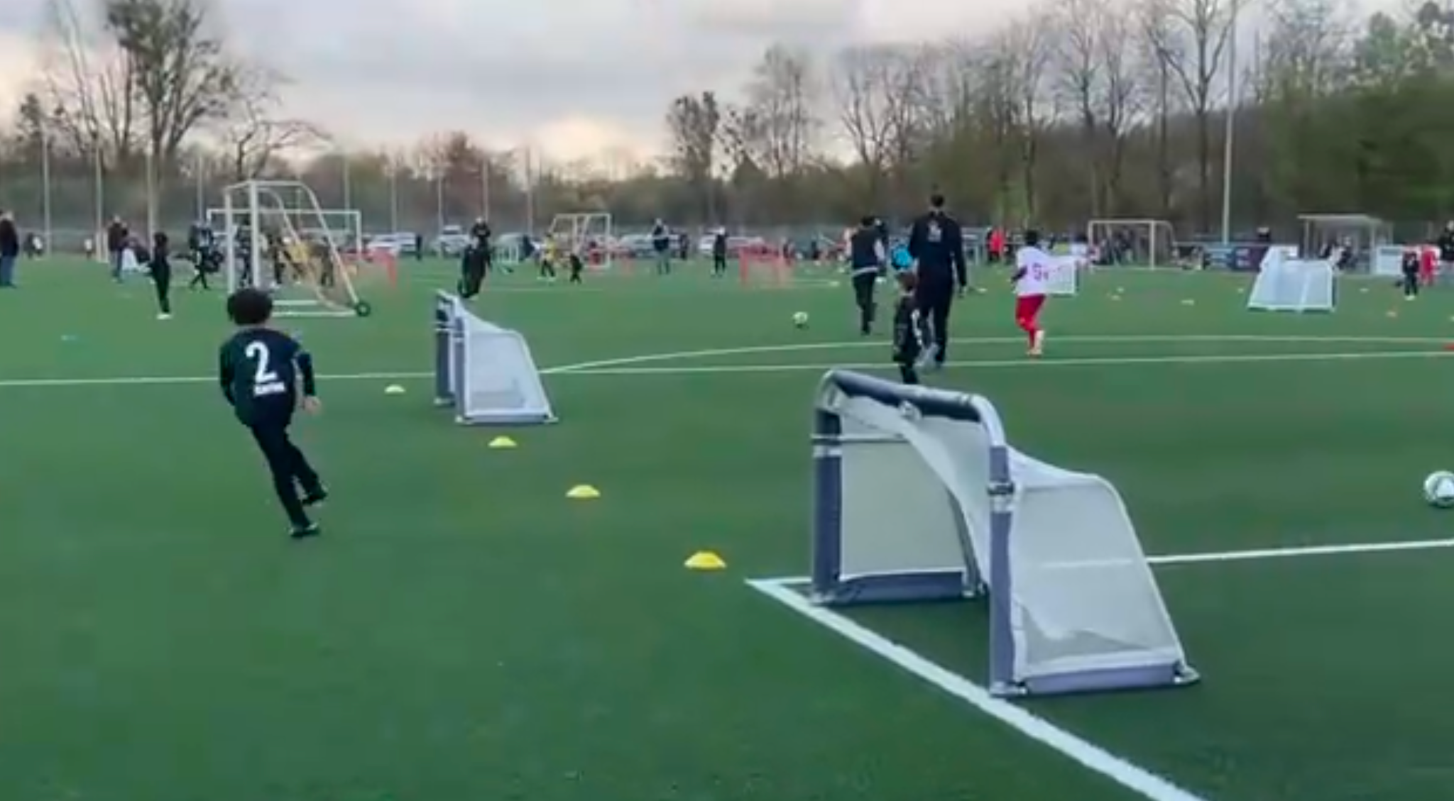 本日届いた新鮮動画🎥