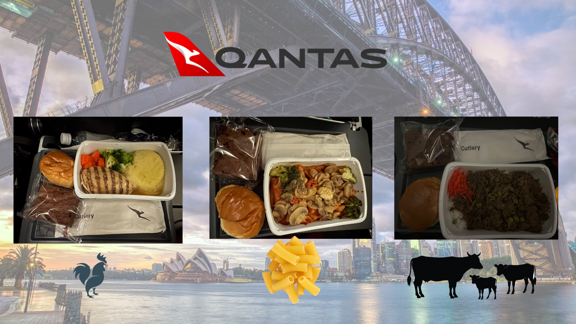 成田Sydney機内食 チキンパスタビーフ オーストラリア遠征 Piece