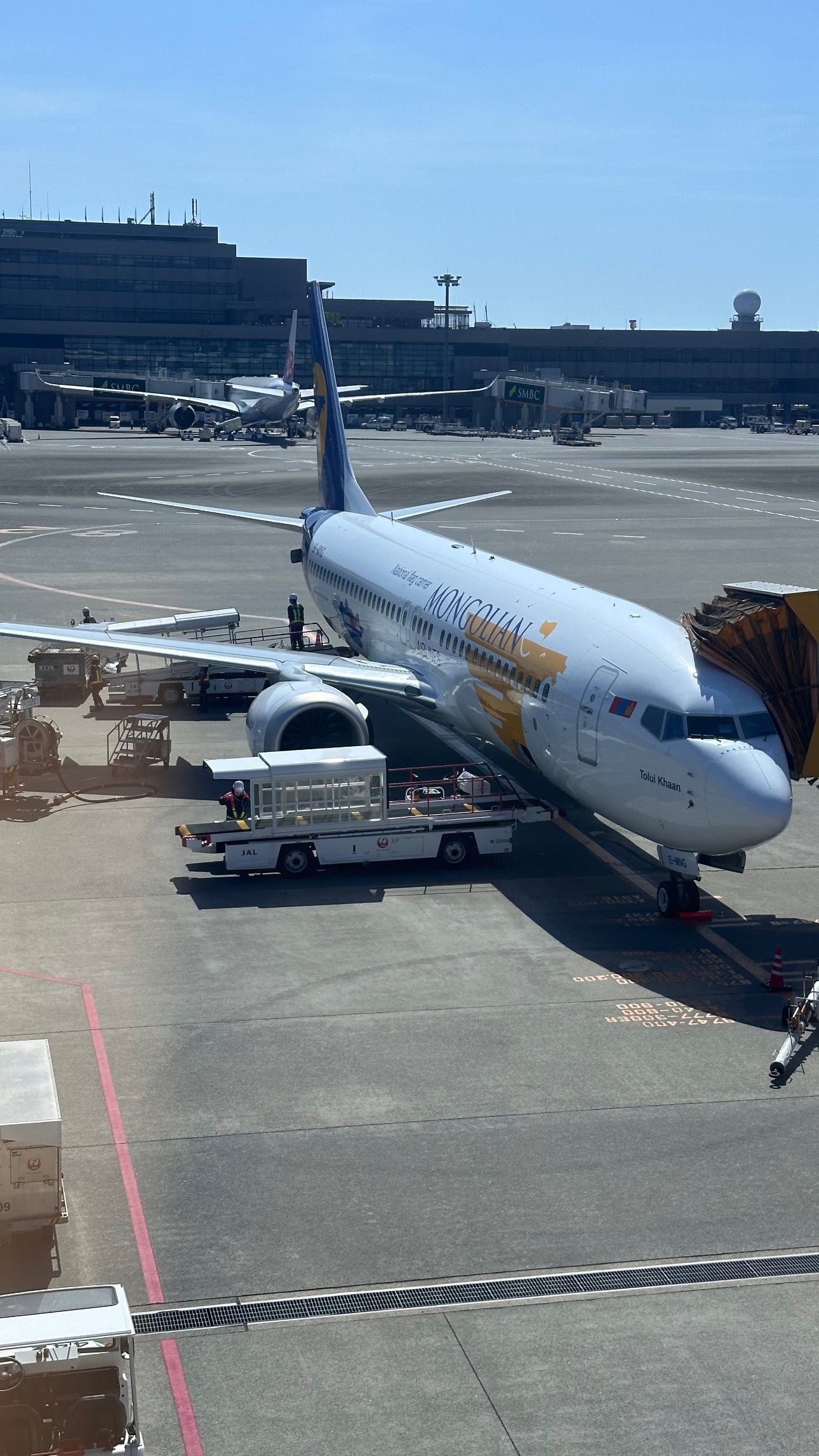 飛行機乗りました〜✈️