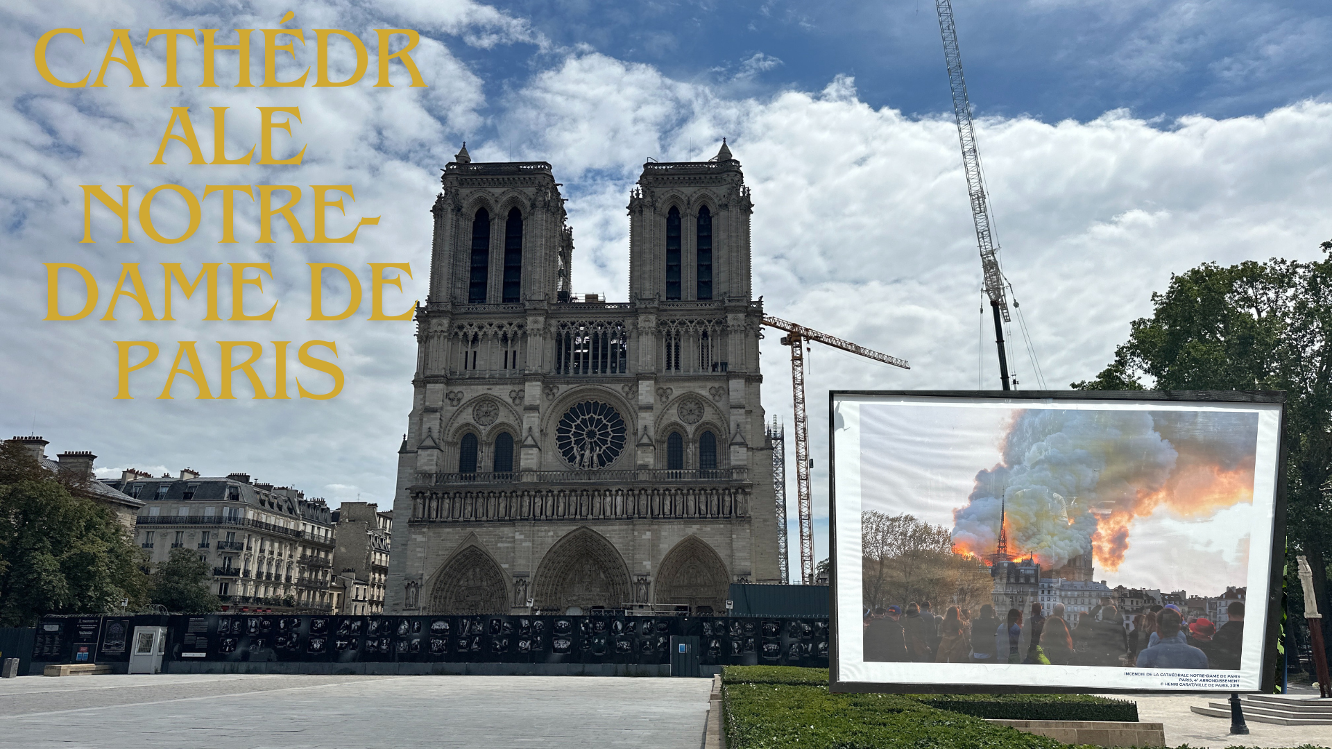 ノートルダム大聖堂