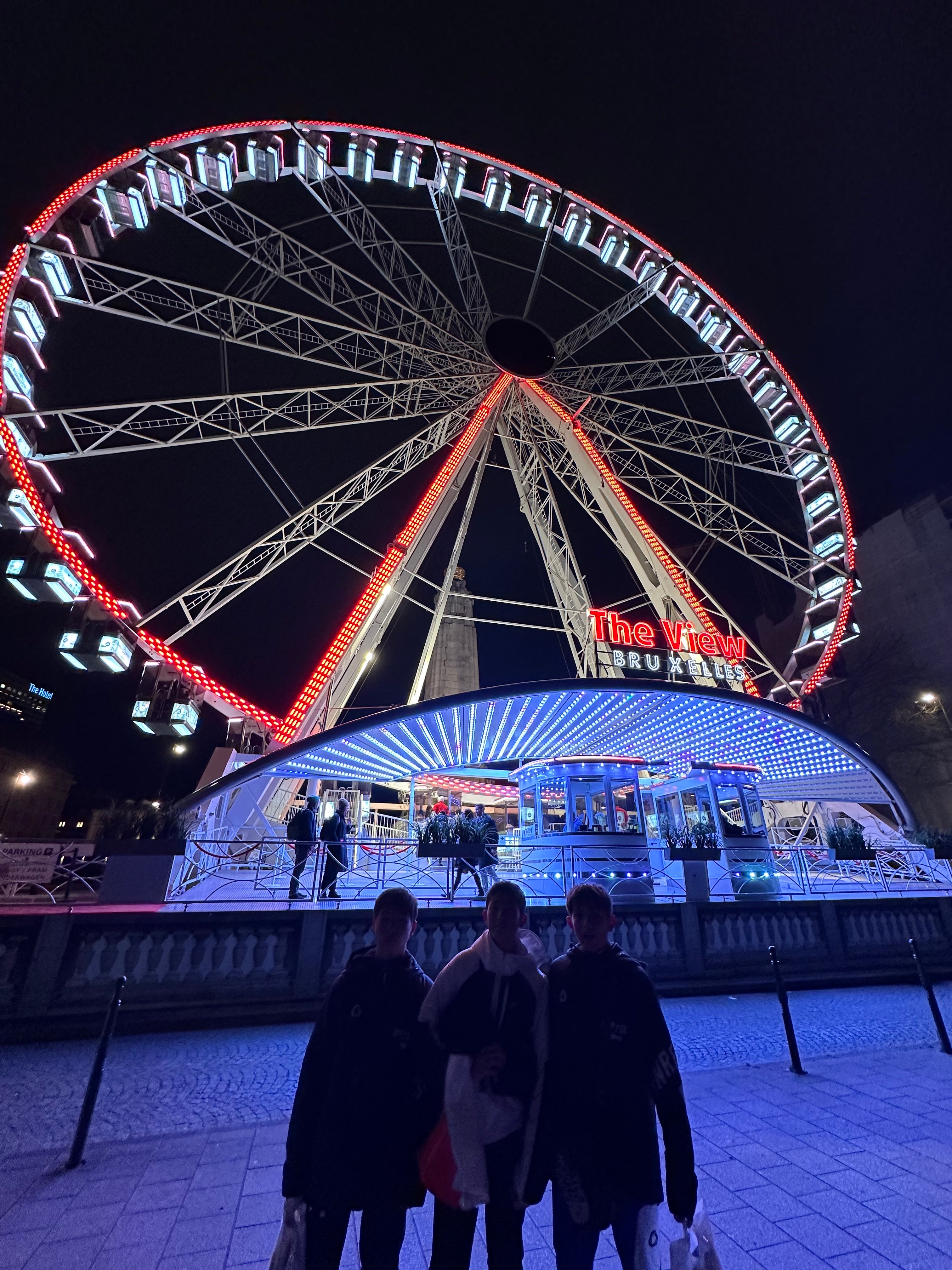 The viewBelgium