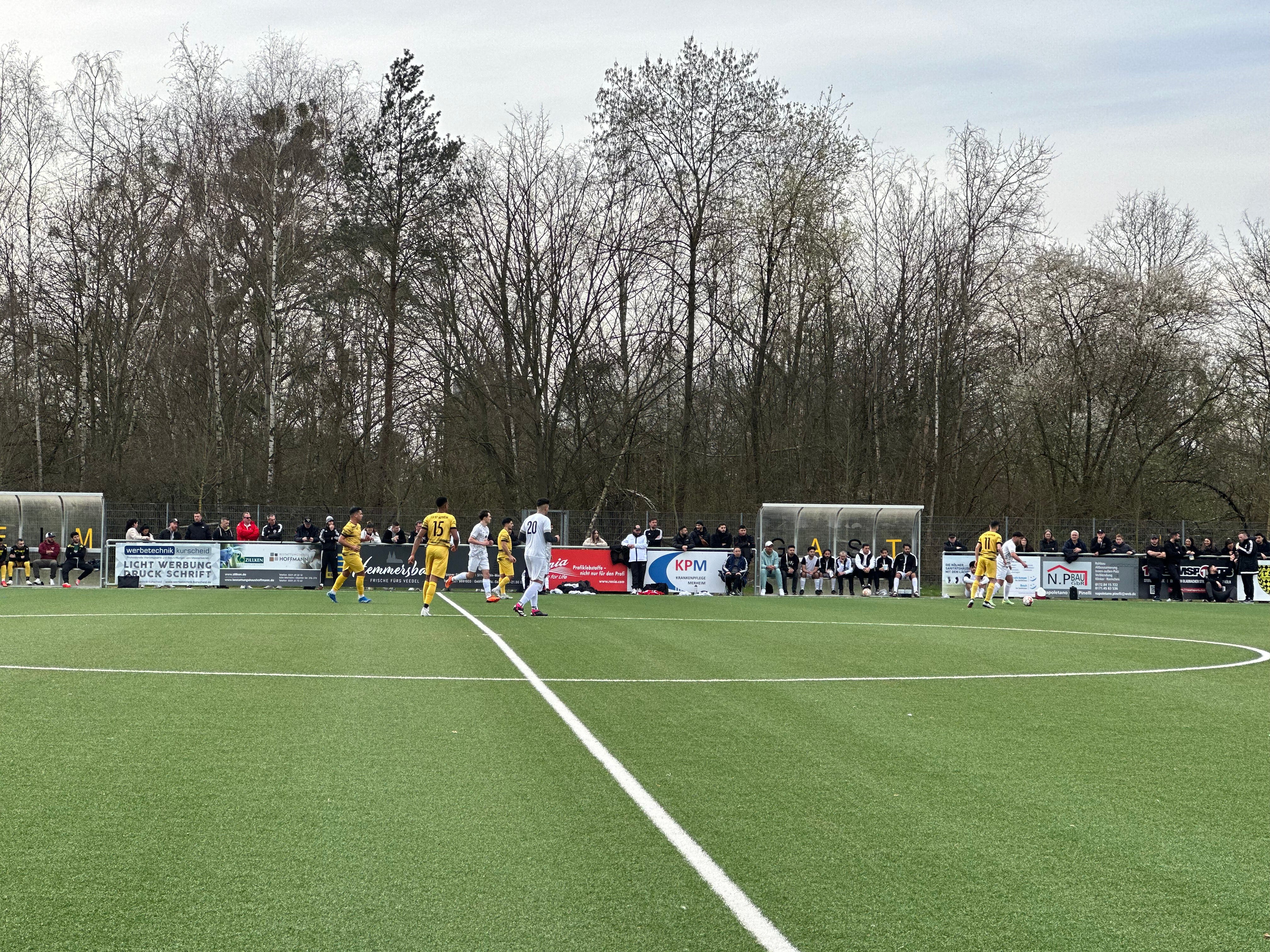 ドイツのサッカー環境