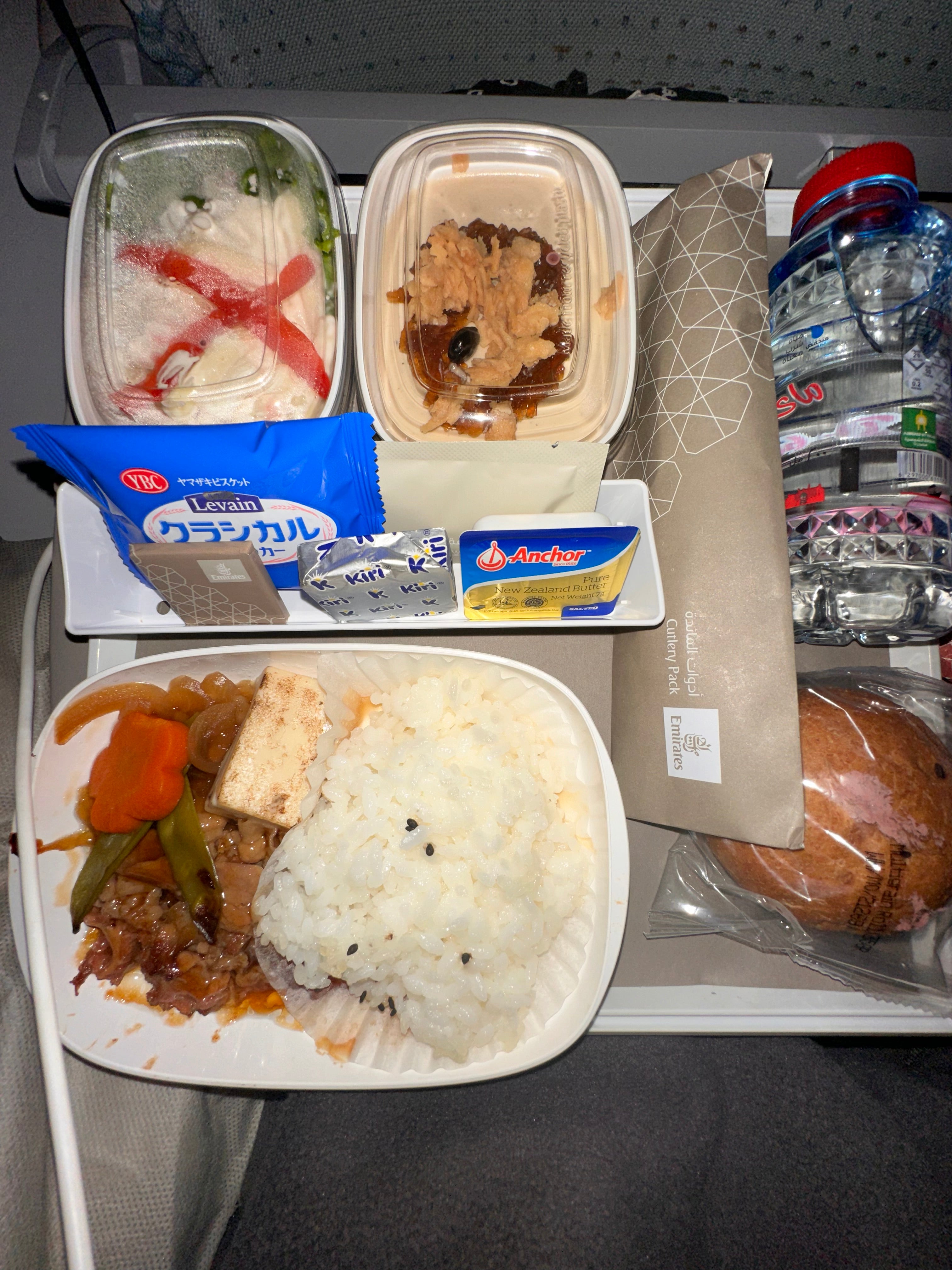 機内食(成田⇨ドバイ)