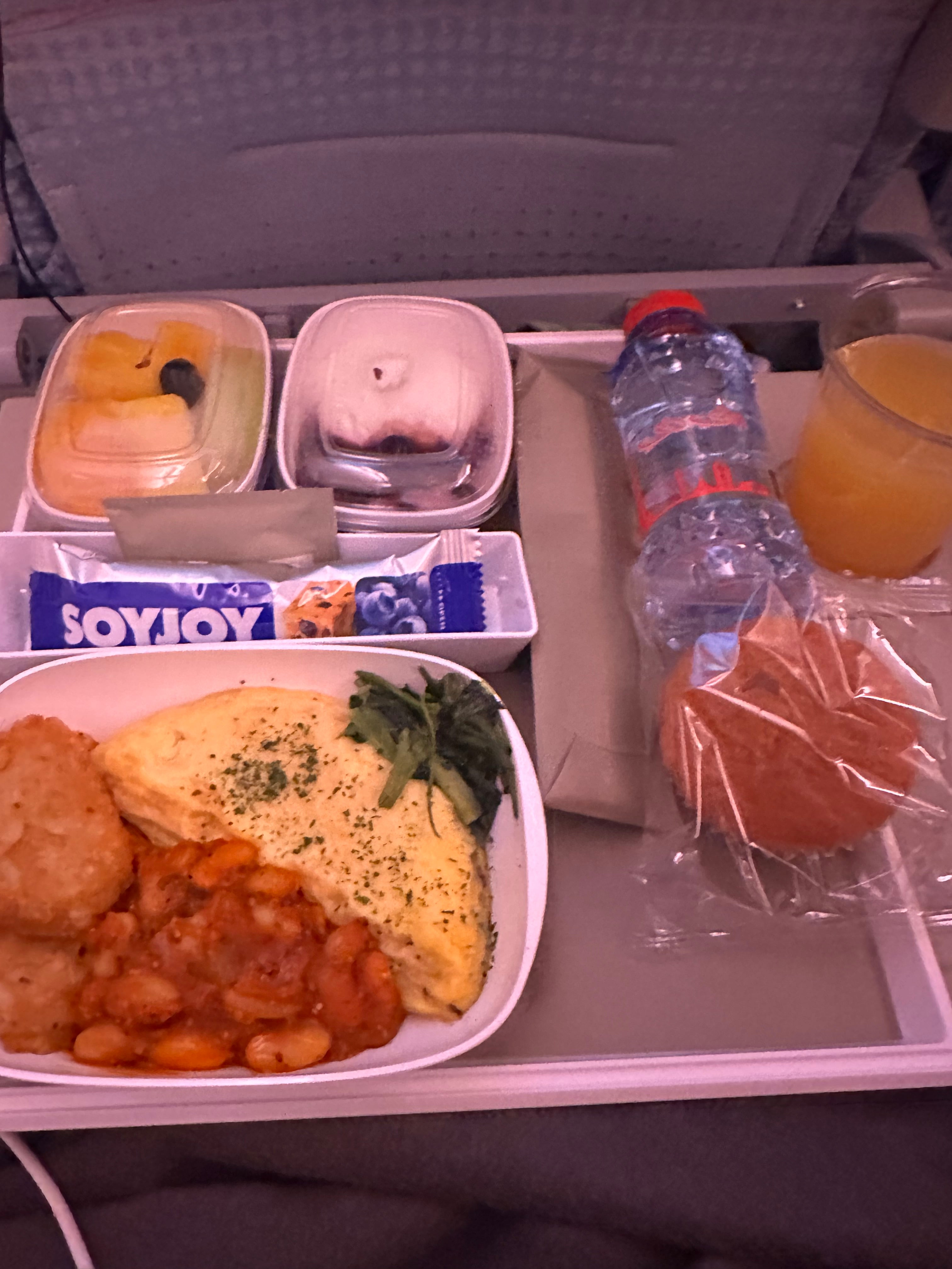 機内食(成田⇨ドバイ)