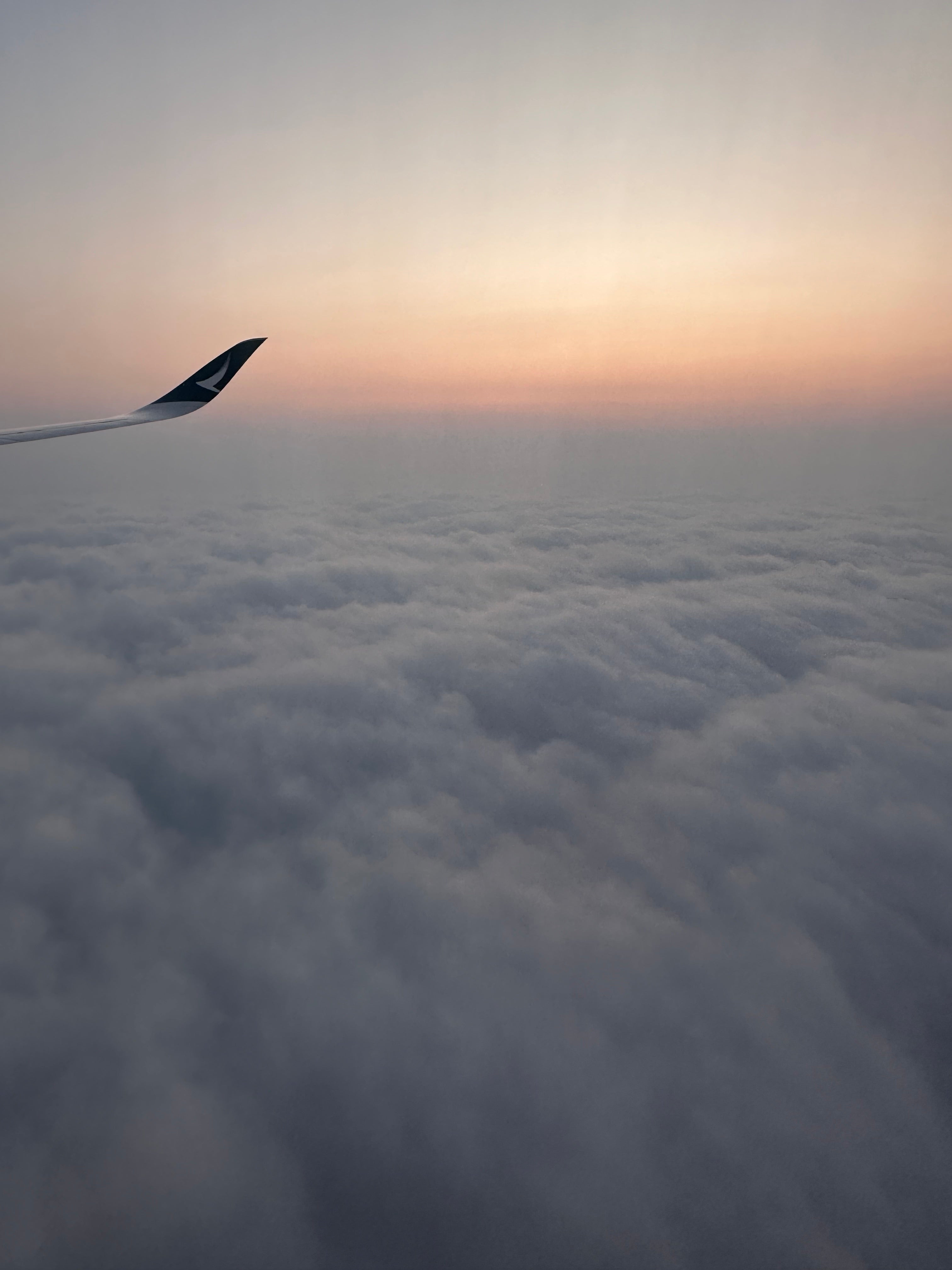 飛行機の上から