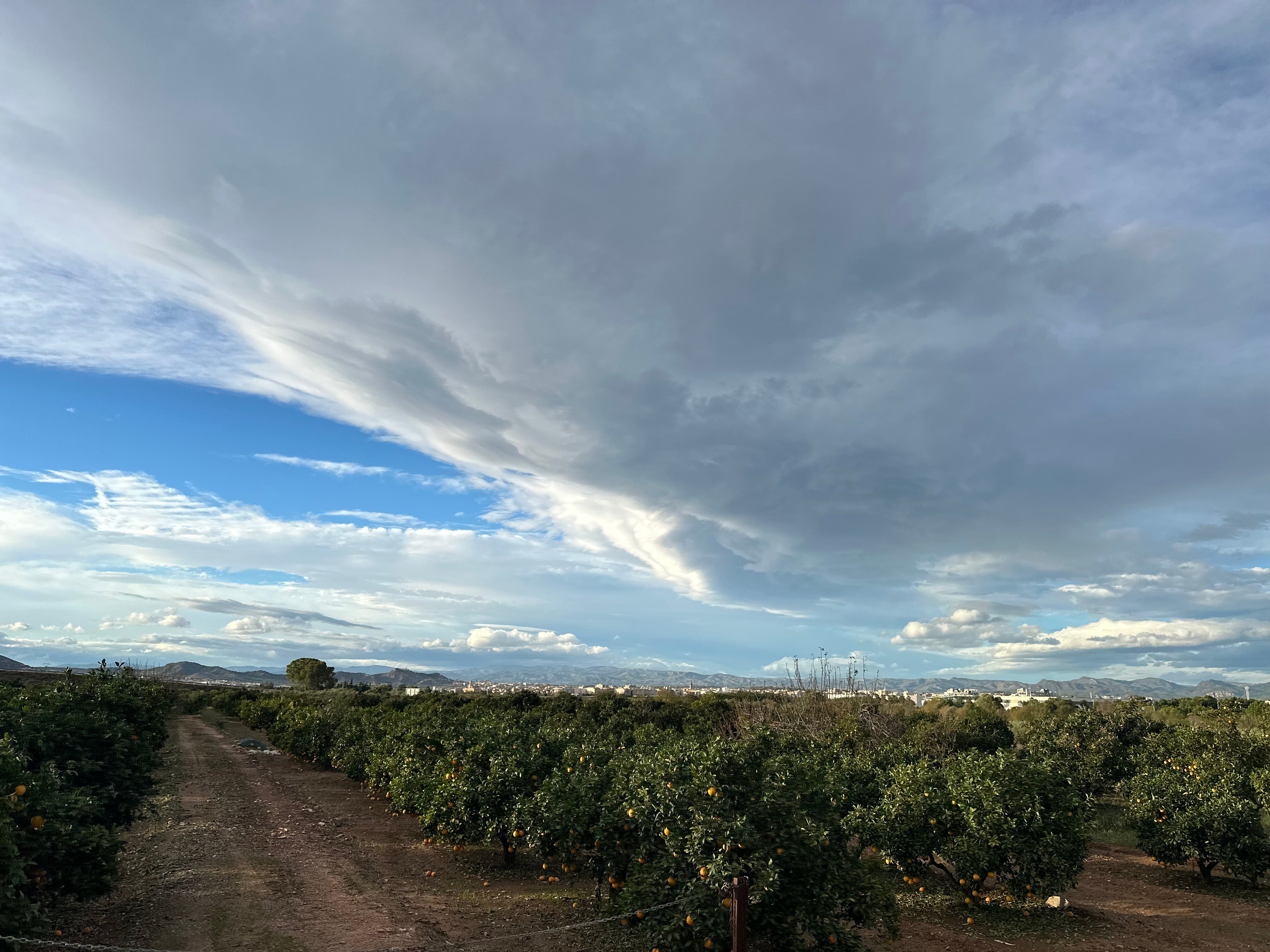 スペイン🇪🇸バレンシ