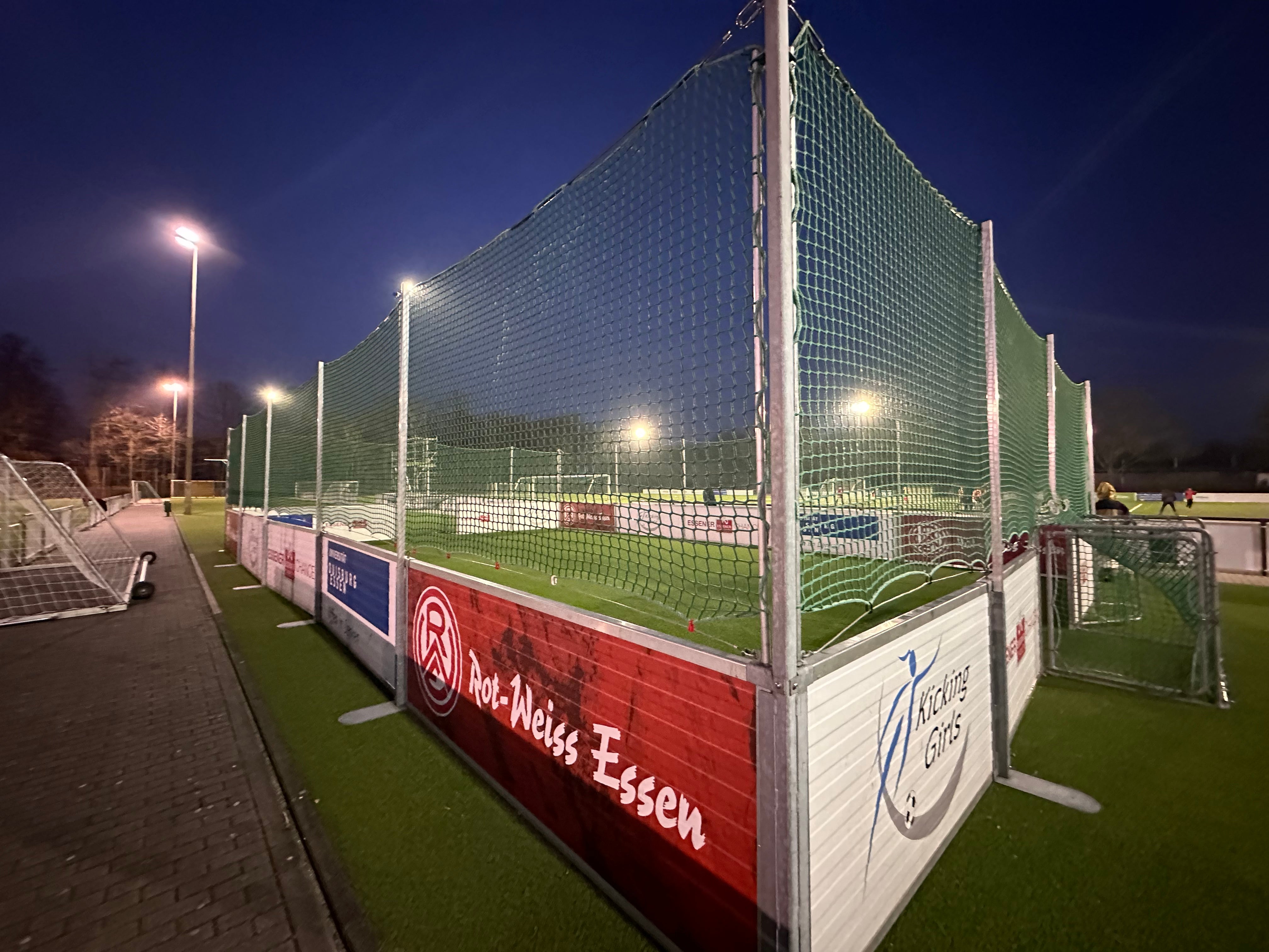 なぜドイツ遠征か