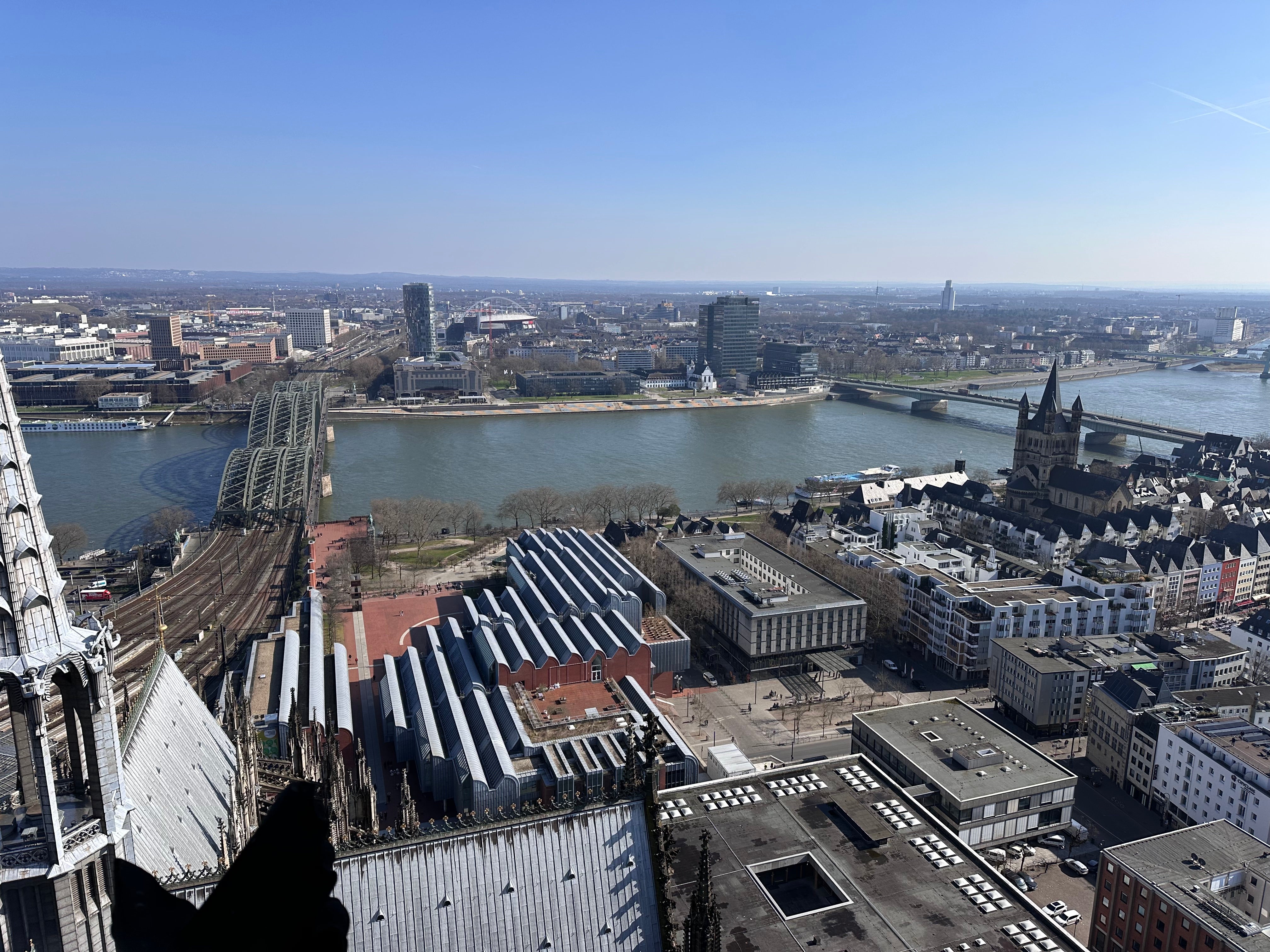 ケルン大聖堂の上から🎥