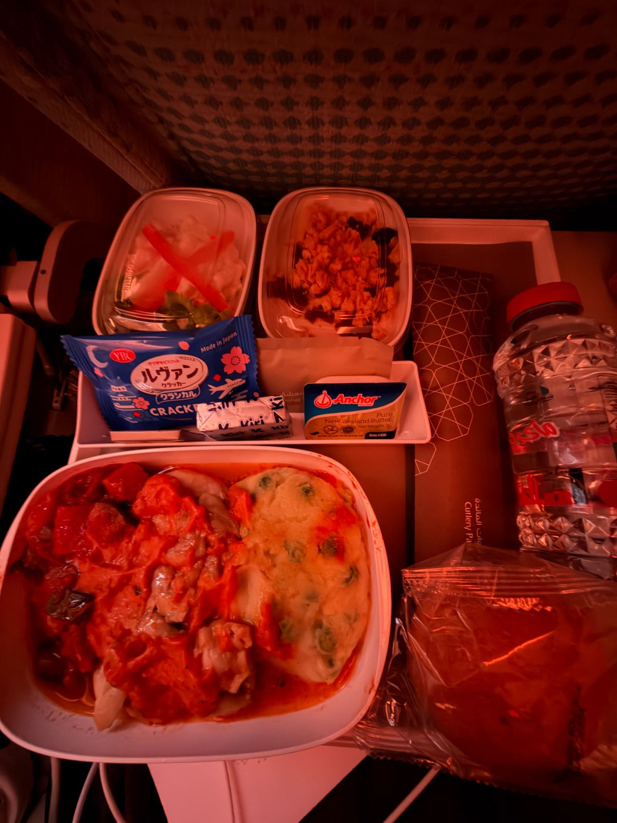 スペイン・バルセロナ個人留学へ向かう羽田発ドバイ行きの機内食