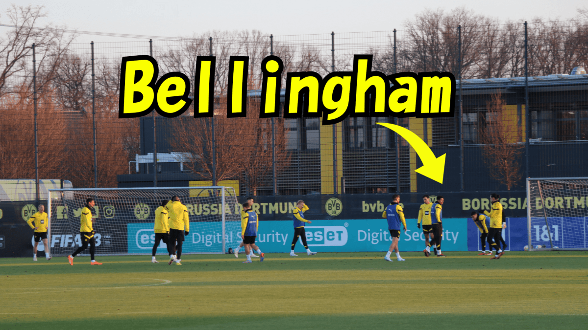 Bellingham - Piece 海外留学サポート