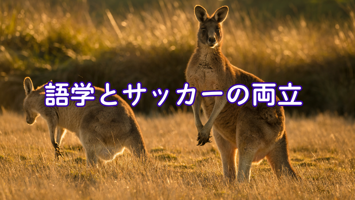 自然と溶け込む
