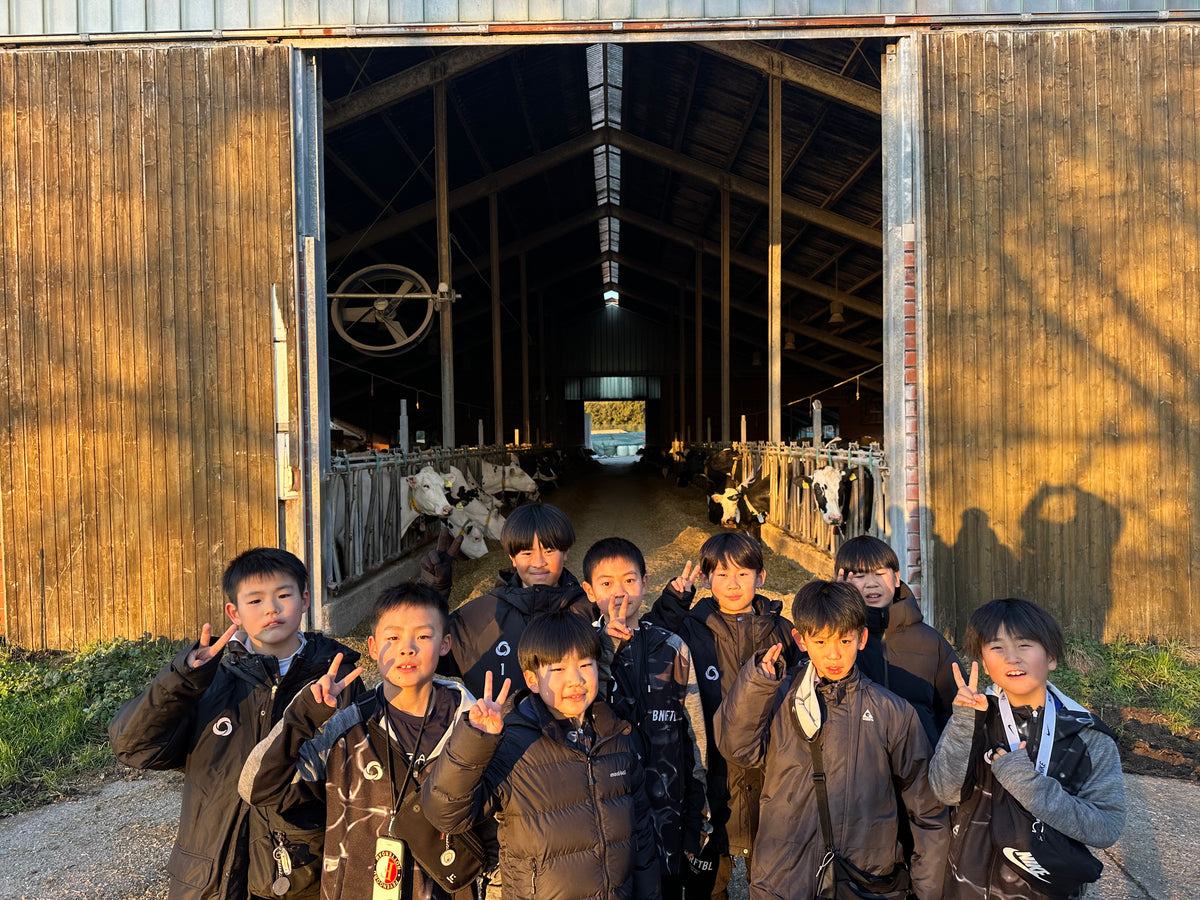 牛舎見学