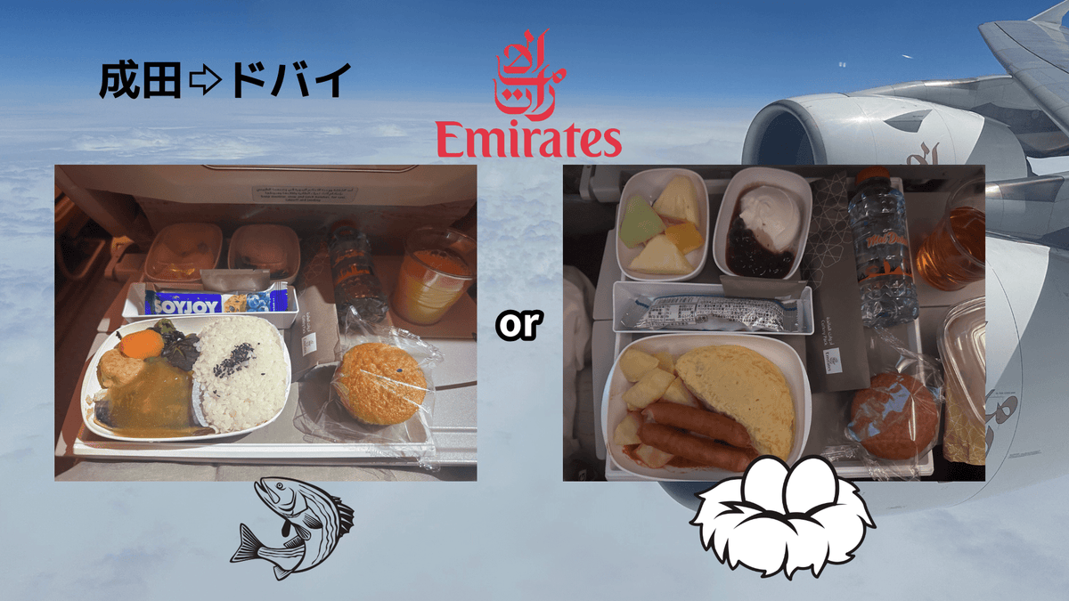成田⇨ドバイの機内食｜12時間フライト中の時差調整と食事 - Piece 海外留学サポート