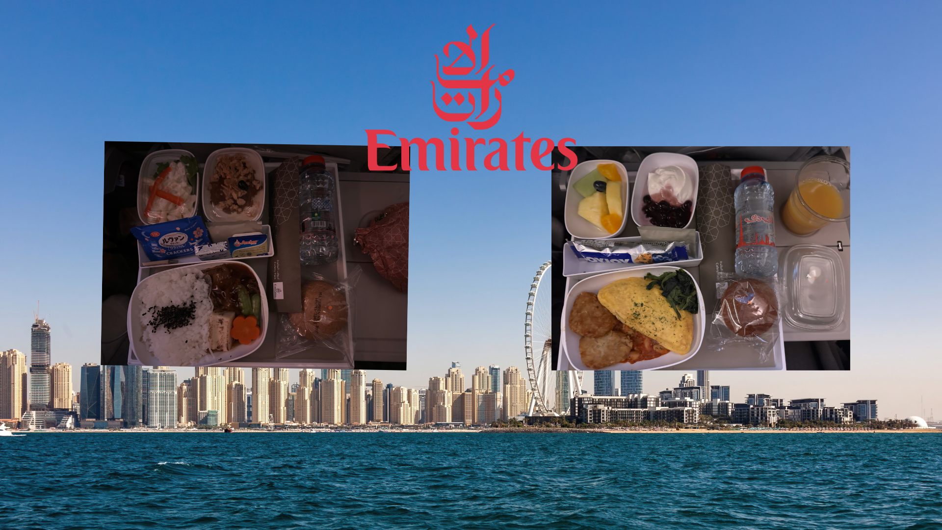 成田⇨ドバイ（機内食）