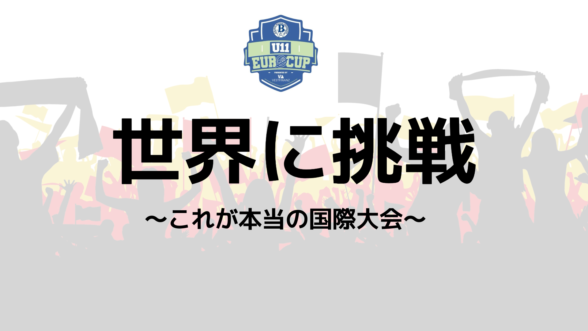ドイツEURO CUP 海外サッカー大会 Piece