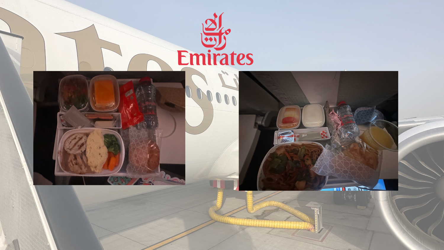 ドバイ⇨成田（機内食）