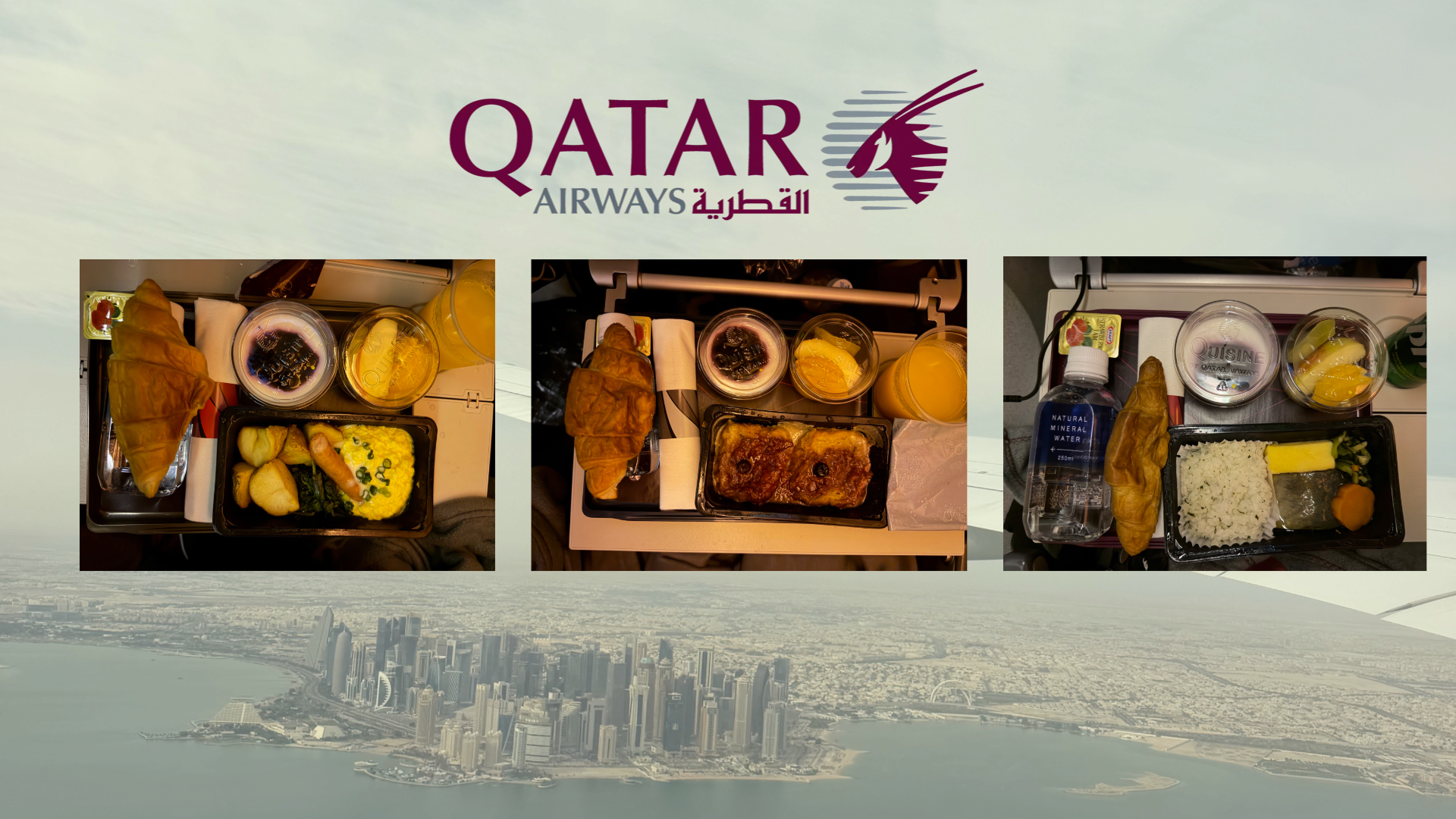 機内食（ドーハ⇨フランクフルト）