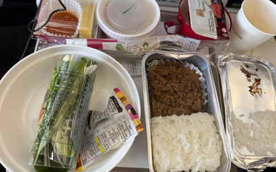 機内食（仁川⇨フランクフルト）