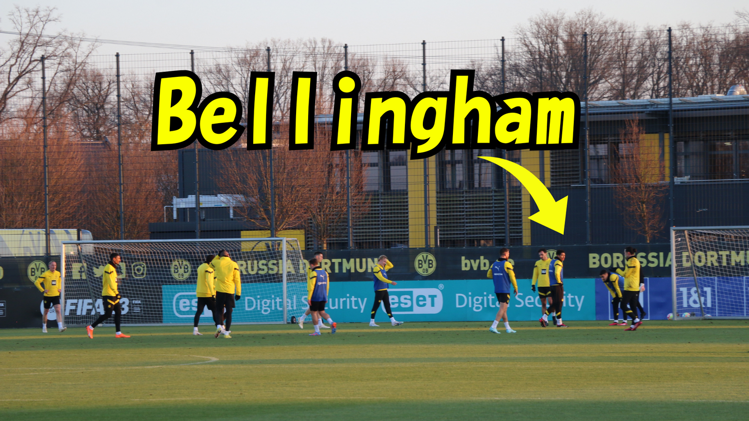 Bellingham