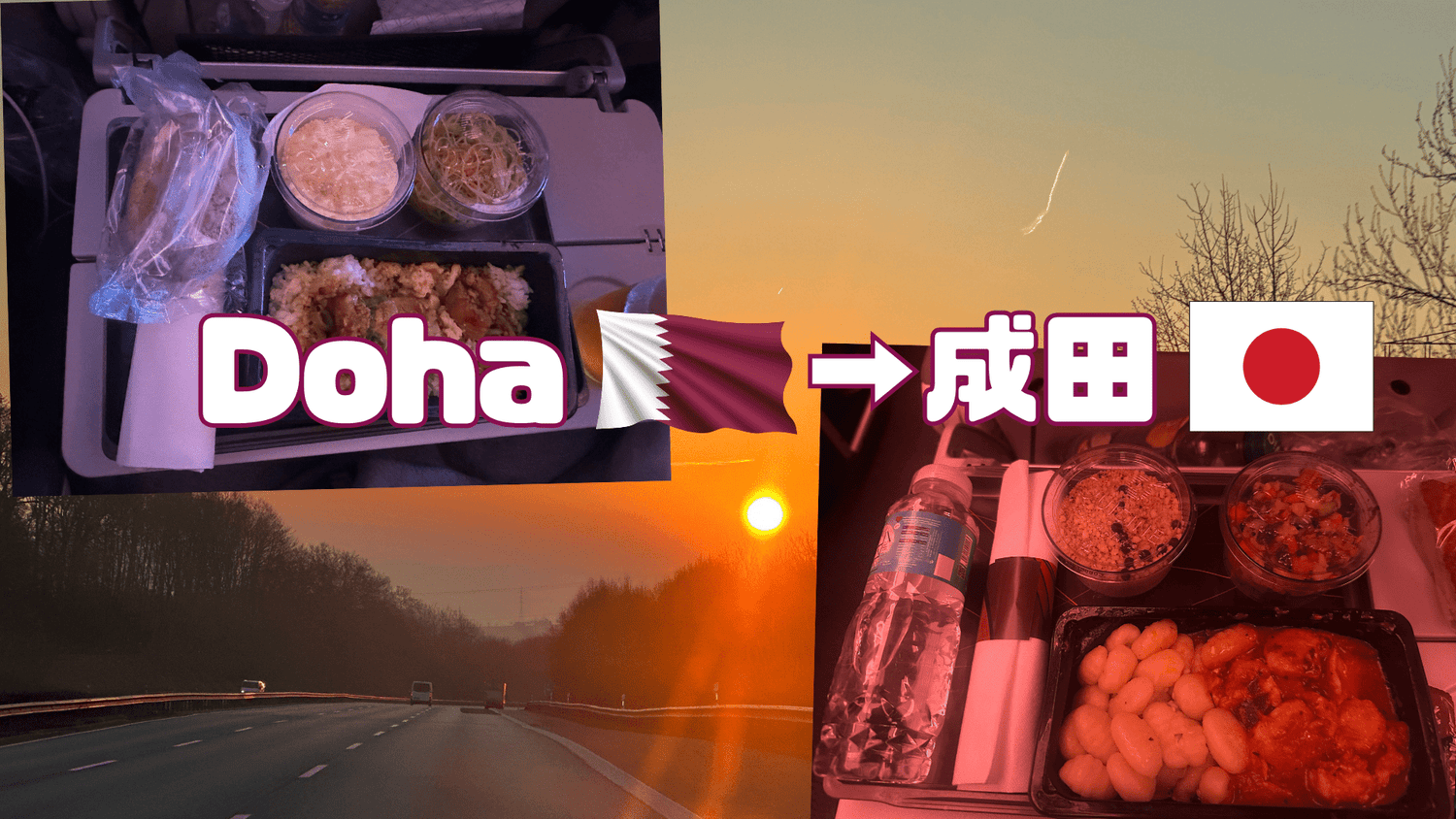 Doha⇨成田の機内食｜爆睡で帰国、即日群馬⇨東京へも時差ボケなし - Piece 海外留学サポート