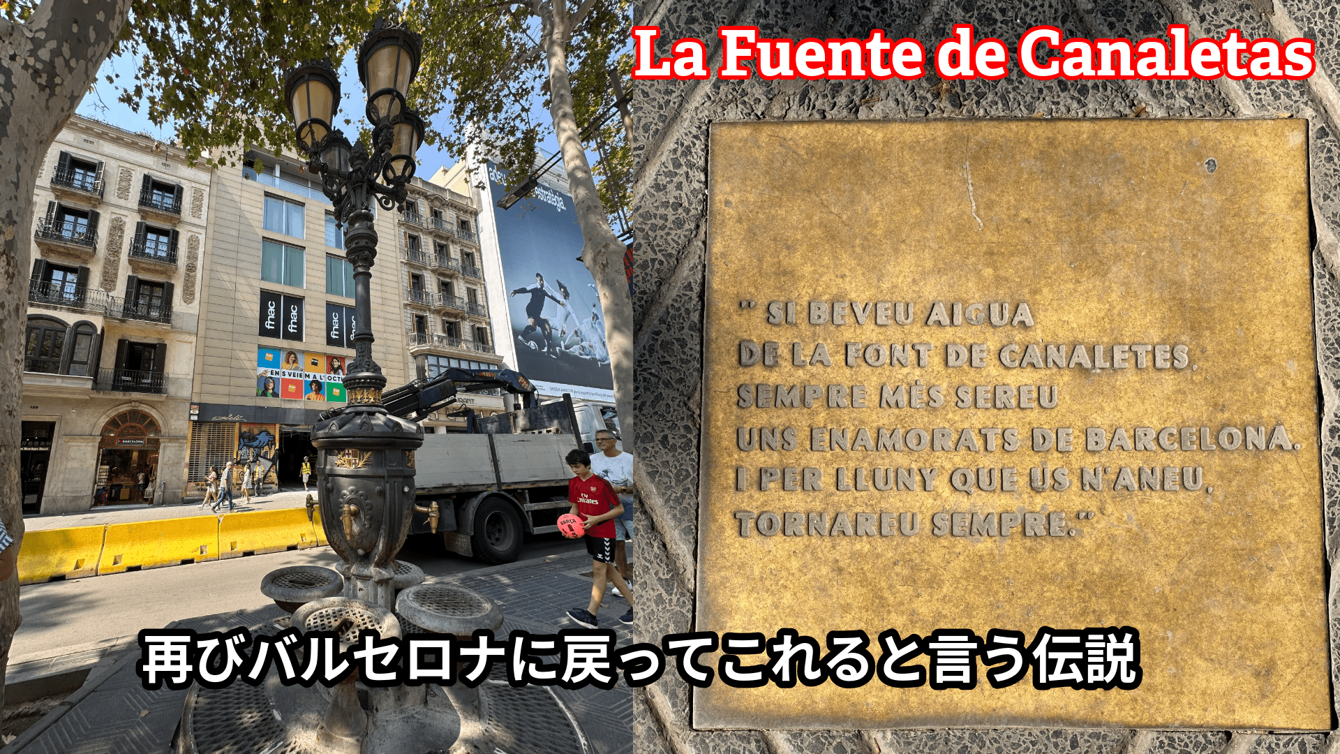 Font de Canaletes - Piece 海外留学サポート