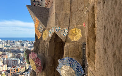 「子どもをバルセロナへ」パルマキャンプから始まるスペイン個人留学の道