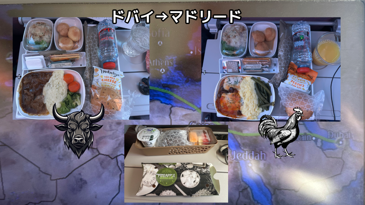 ドバイ⇨マドリードの機内食｜軽食からメインまでスペイン遠征の機内食レポート - Piece 海外留学サポート