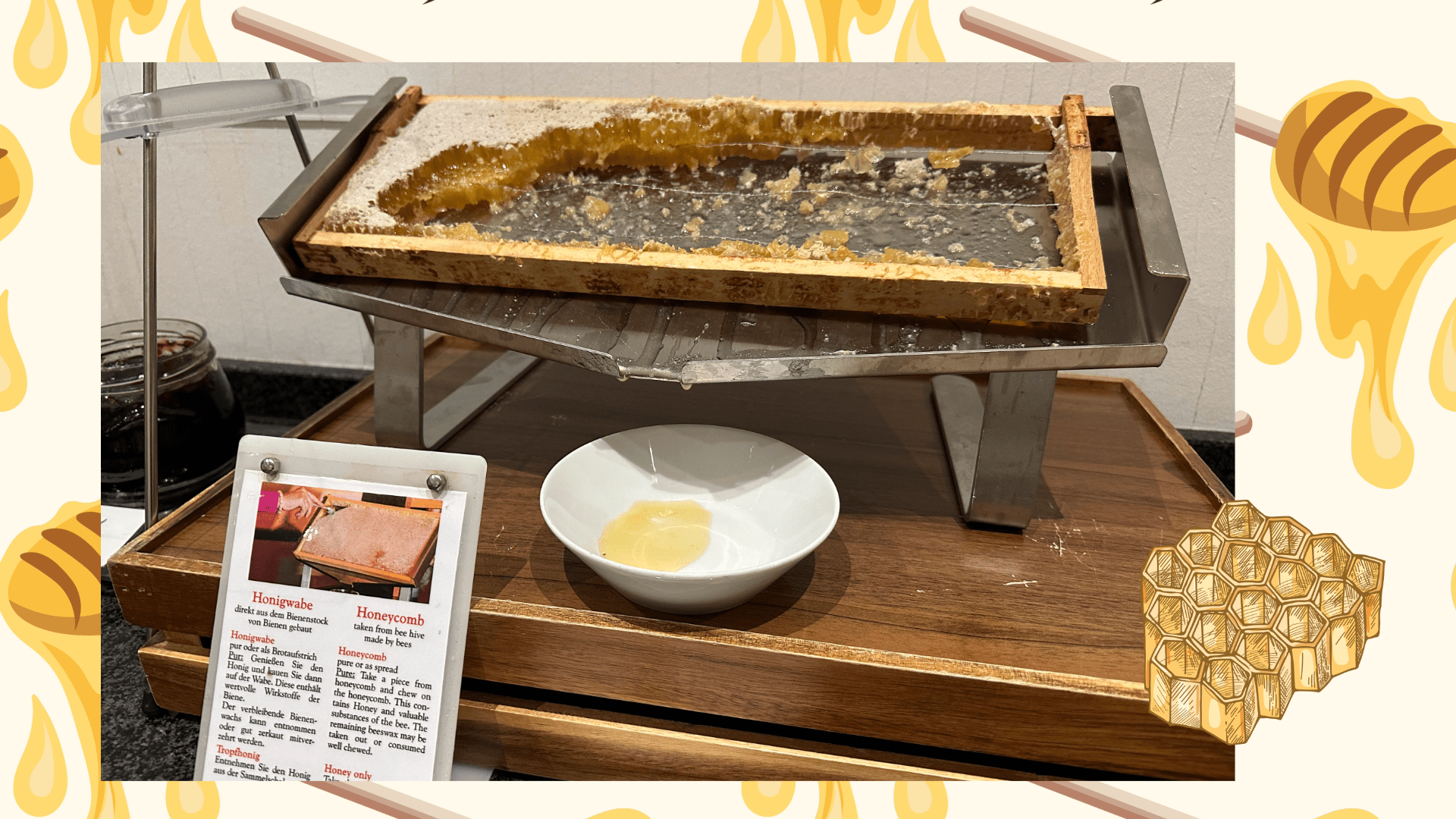 ドイツでの朝食の思い出 - Piece 海外留学サポート