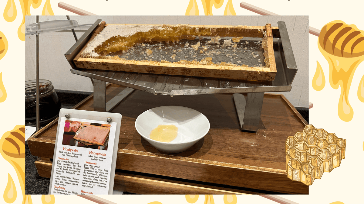 ドイツでの朝食の思い出 - Piece 海外留学サポート