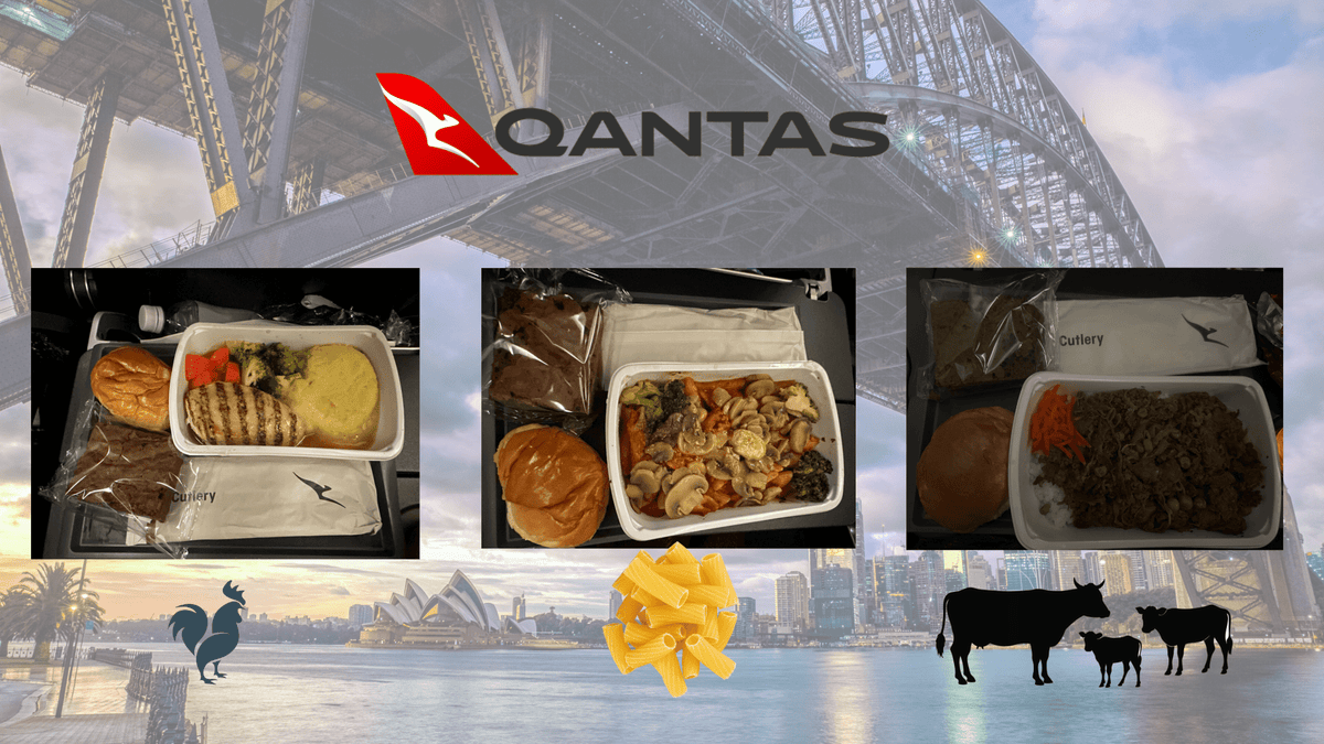成田⇨Sydneyの機内食｜チキン・パスタ・ビーフ全部見せます！ - Piece 海外留学サポート