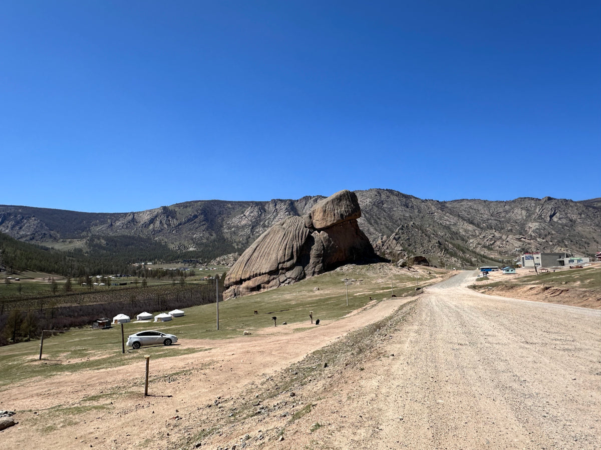 Turtle Rock